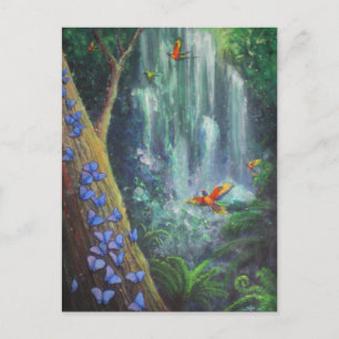 Rainforest Magic Vykort