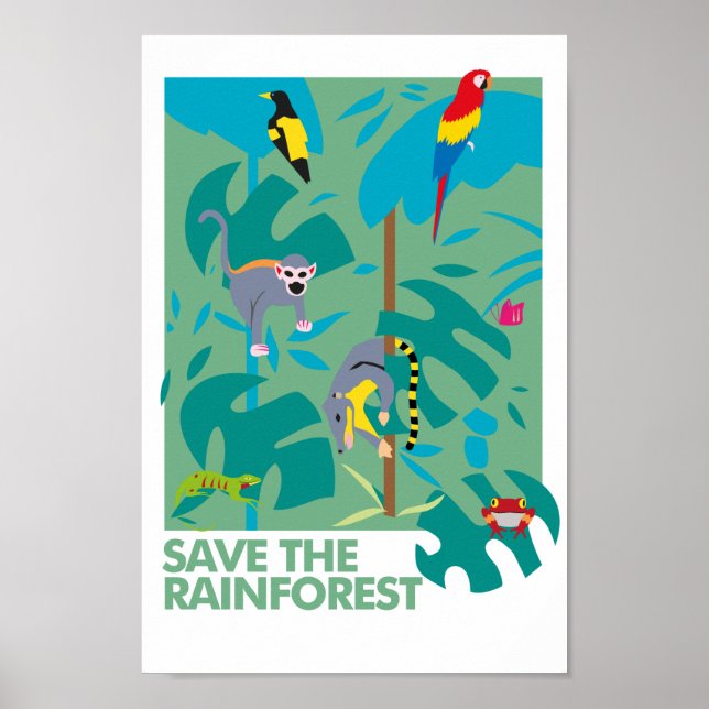 RAINFOREST POSTER (Framsidan)