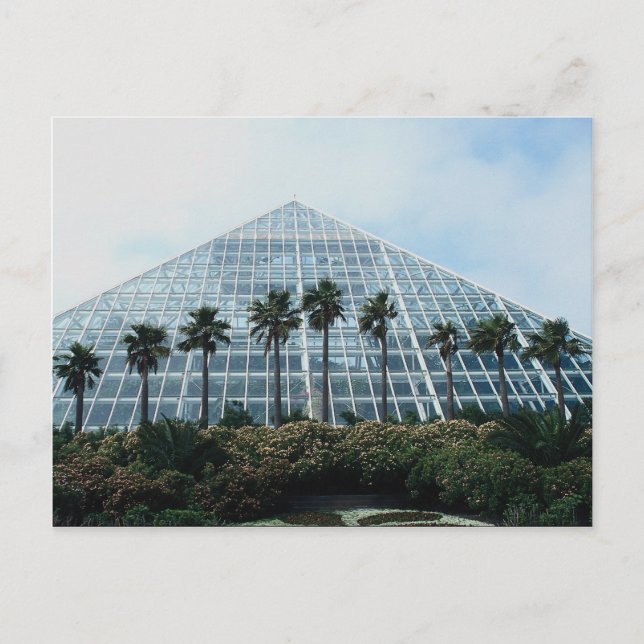 Rainforest pyramid, Södra Texas, USA Vykort (Framsida)