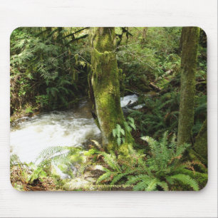 Rainforest Stream Wilderness Nature Photo Mousepad Musmatta