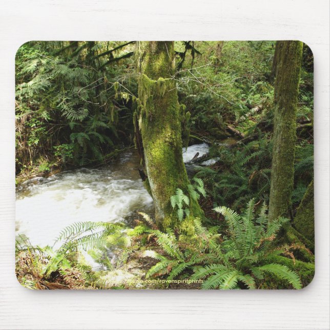 Rainforest Stream Wilderness Nature Photo Mousepad Musmatta (Framsidan)