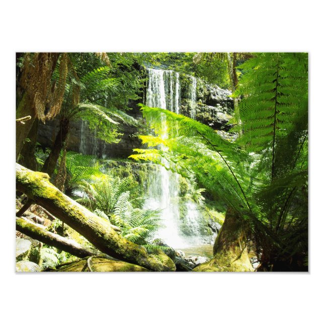 Rainforest Waterfall Fototryck (Framsidan)