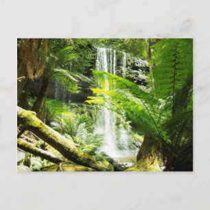 Rainforest Waterfall Vykort