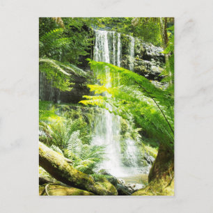 Rainforest Waterfall Vykort