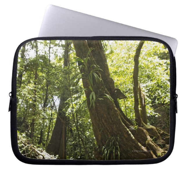 rainforesten beskådar, Dominica Laptop Fodral (Framsidan)