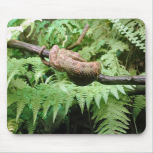 Rainforestormsjal - mousepad musmatta