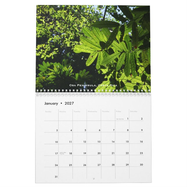 Rainforestskalender Kalender (Jan 2027)