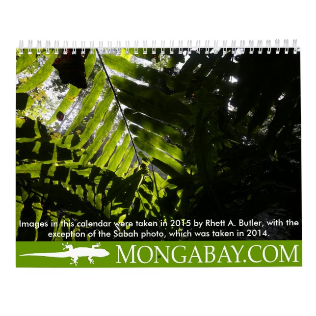Rainforestträdkalender Kalender (Baksida)