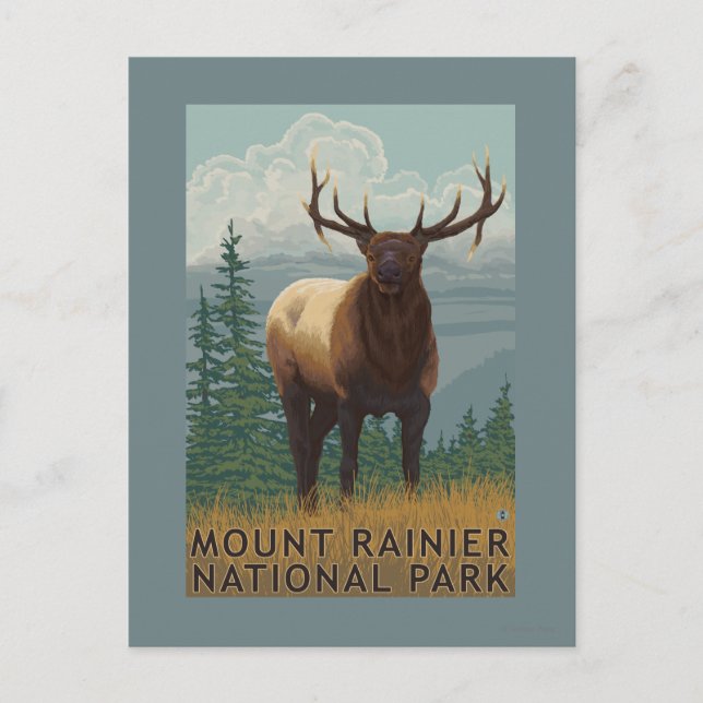 Rainier National Park, WashingtonElk Scene Vykort (Framsida)