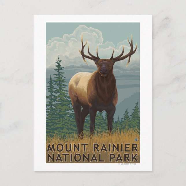 Rainier National Park, WashingtonElk Scene Vykort (Framsida)