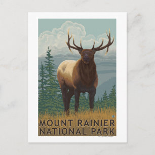Rainier National Park, WashingtonElk Scene Vykort