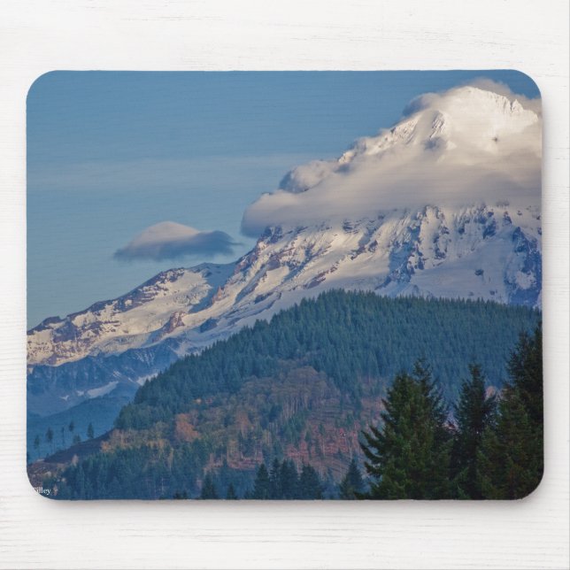 Rainier P5002 Musmatta (Framsidan)