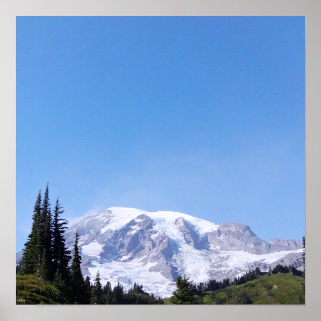 Rainier PDSC213 Poster (Framsidan)