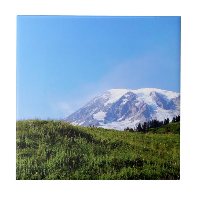 Rainier PDSC230 Kakelplatta (Framsidan)