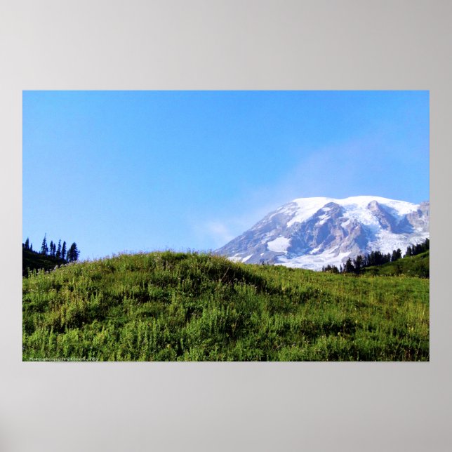 Rainier PDSC230 Poster (Framsidan)