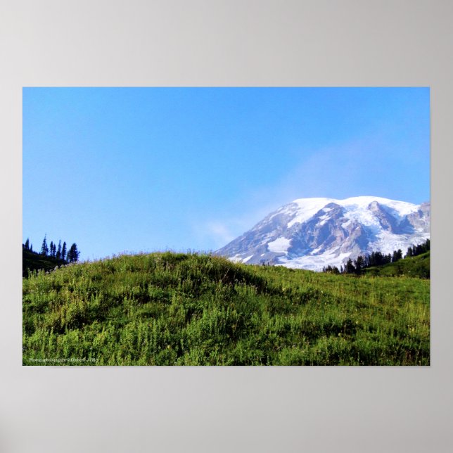 Rainier PDSC230 Poster (Framsidan)