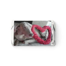 Rain's Heart Weimaraner Hund - Hersheys ministeriu