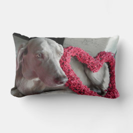 Rain's Kärlek - Weimaraner Hund Pic - Pillow Lumbarkudde