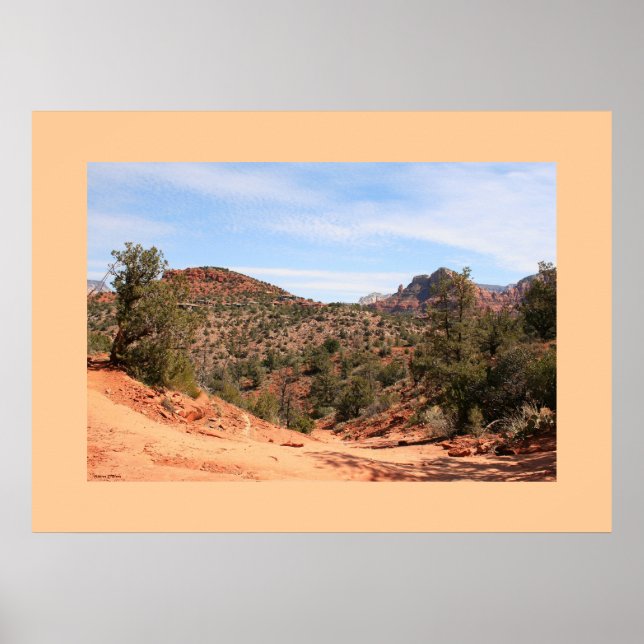 Rainwash Trail Poster (Framsidan)