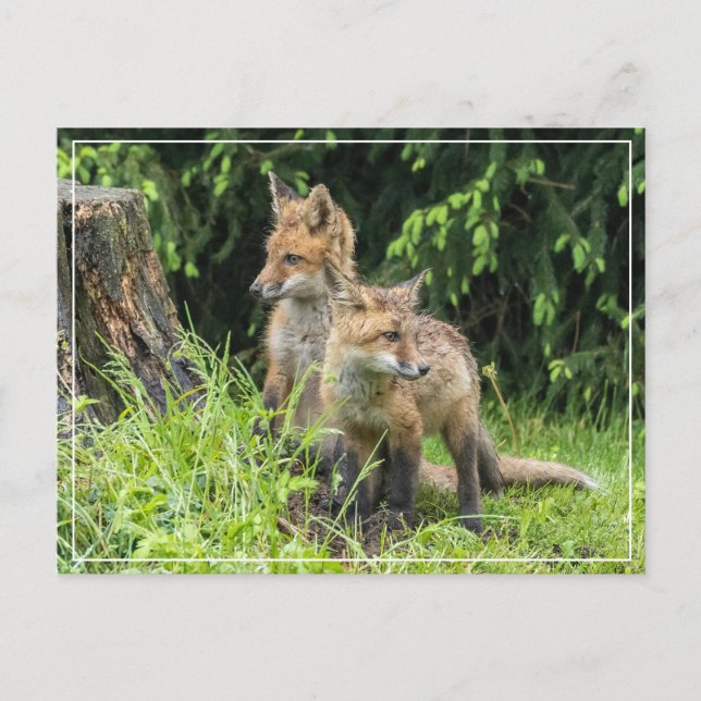 Rainy Day Friends Vykort (Framsida)