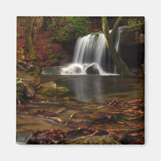 Rainy Day i Laurel Falls Magnet