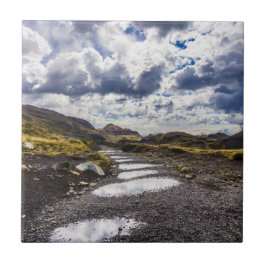 Rainy Day in Torres Del Paine NP Kakelplatta