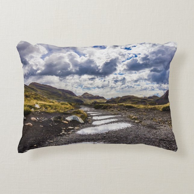 Rainy Day in Torres Del Paine NP Prydnadskudde (Framsidan)