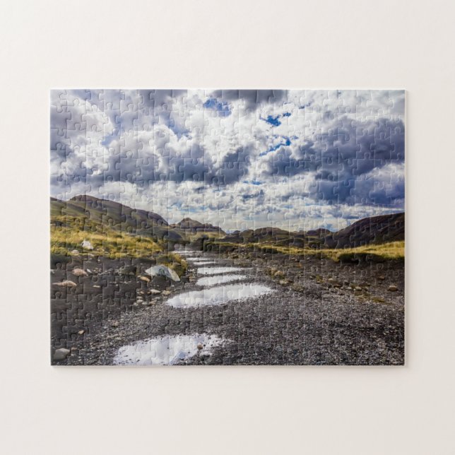 Rainy Day in Torres Del Paine NP Pussel (Horisontell)