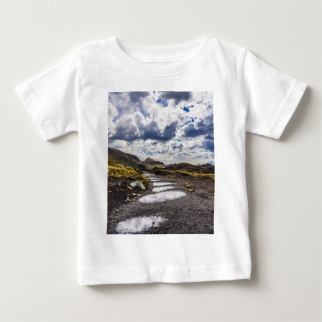 Rainy Day in Torres Del Paine NP T Shirt (Framsida)