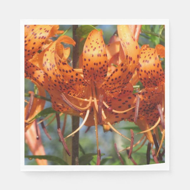 Rainy Day Tiger Lilies Pappersservett (Framsidan)