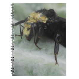 Rainy Days Anteckningsbok