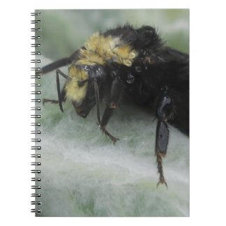 Rainy Days Anteckningsbok