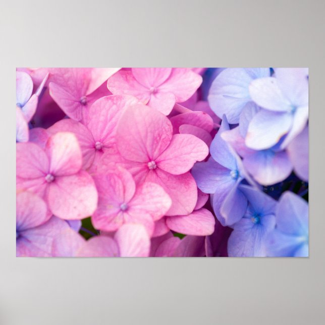 Rainy Days Poster (Framsidan)