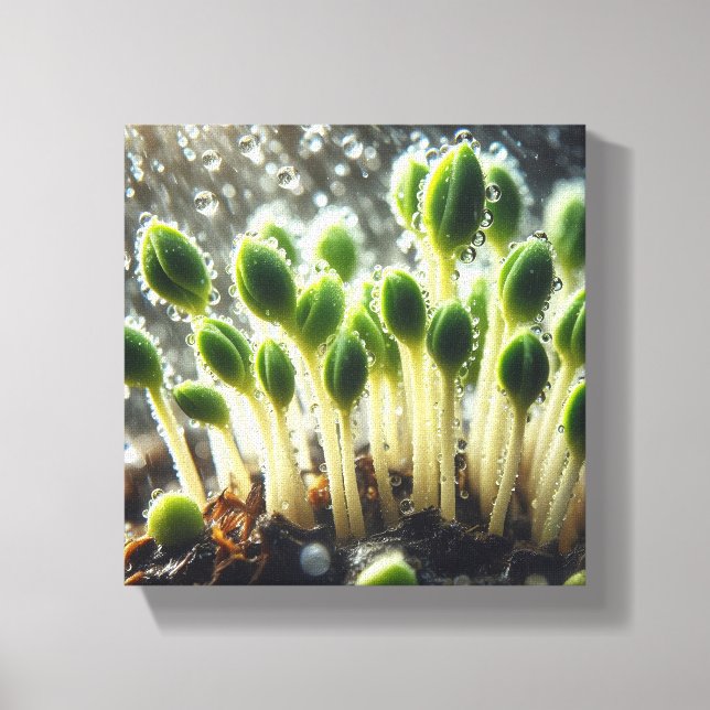 Rainy Growth - Canvastryck (Framsida)
