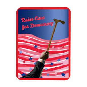 Raise Käpp Democracy Magnet