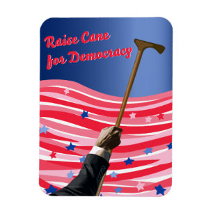 Raise Käpp Democracy Magnet