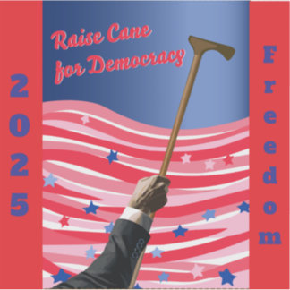 Raise Käpp Democracy Vinyl Sticker Klistermärken