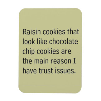 RAISIN COOKIES SOM SER UT SOM CHOCOLATE CHIP ÄR MAGNET