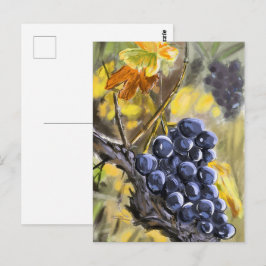 Raisins sur la souche de vigne, provence. vykort