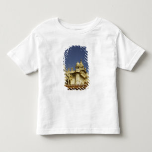 Rajasthan, Indien En kvinna som står vid och fornt Tee Shirt