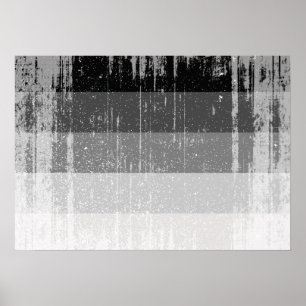 RAK FLAGG DISTRESSED -.png Poster