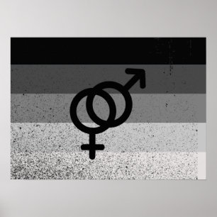 RAK FLAGG ORIGINAL MED SYMBOL -.png Poster