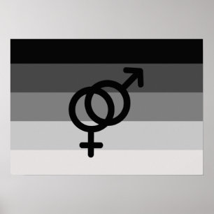 RAK FLAGGA ORIGINAL MED SYMBOL -.png Poster