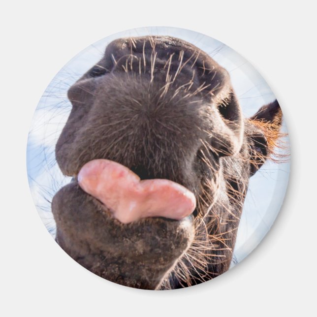 Rak från Horses munslussfoto Magnet (Framsidan)