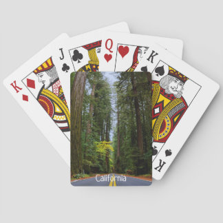 Rak väg fram genom Misty Redwood Forest Casinokort