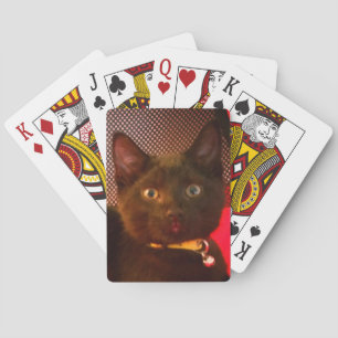 Råka Casinokort