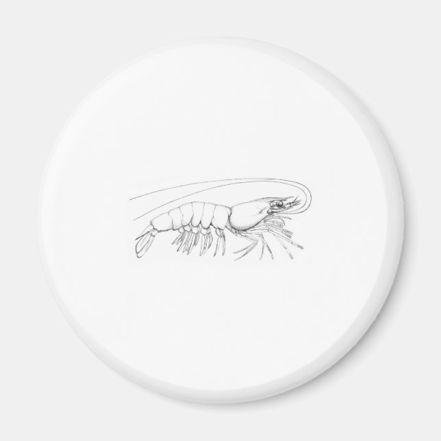 Räka Magnet (Framsidan)