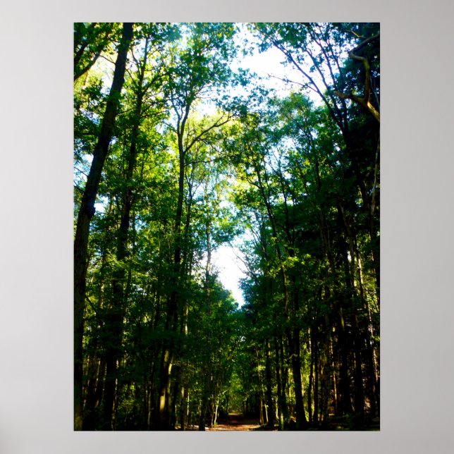 Raka och smala poster (Framsidan)