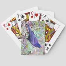 Råka som leker kort