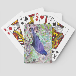 Råka som leker kort spel kort